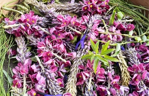 野草オイルマッサージ